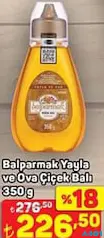 BALPARMAK YAYLA VE OVA ÇİÇEK BALI 350 G